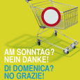 locandina "di domenica?"
