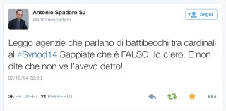 Spadarosynod6