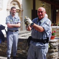 Gli uomini della Forestale liberano il gheppio