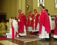 I sacerdoti concelebranti impongono le mani su don Luca